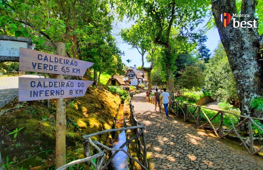 Laurel Forest in Madeira- Queimadas Park